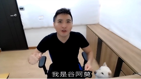 人狗废片2:解析白柴的三个特点